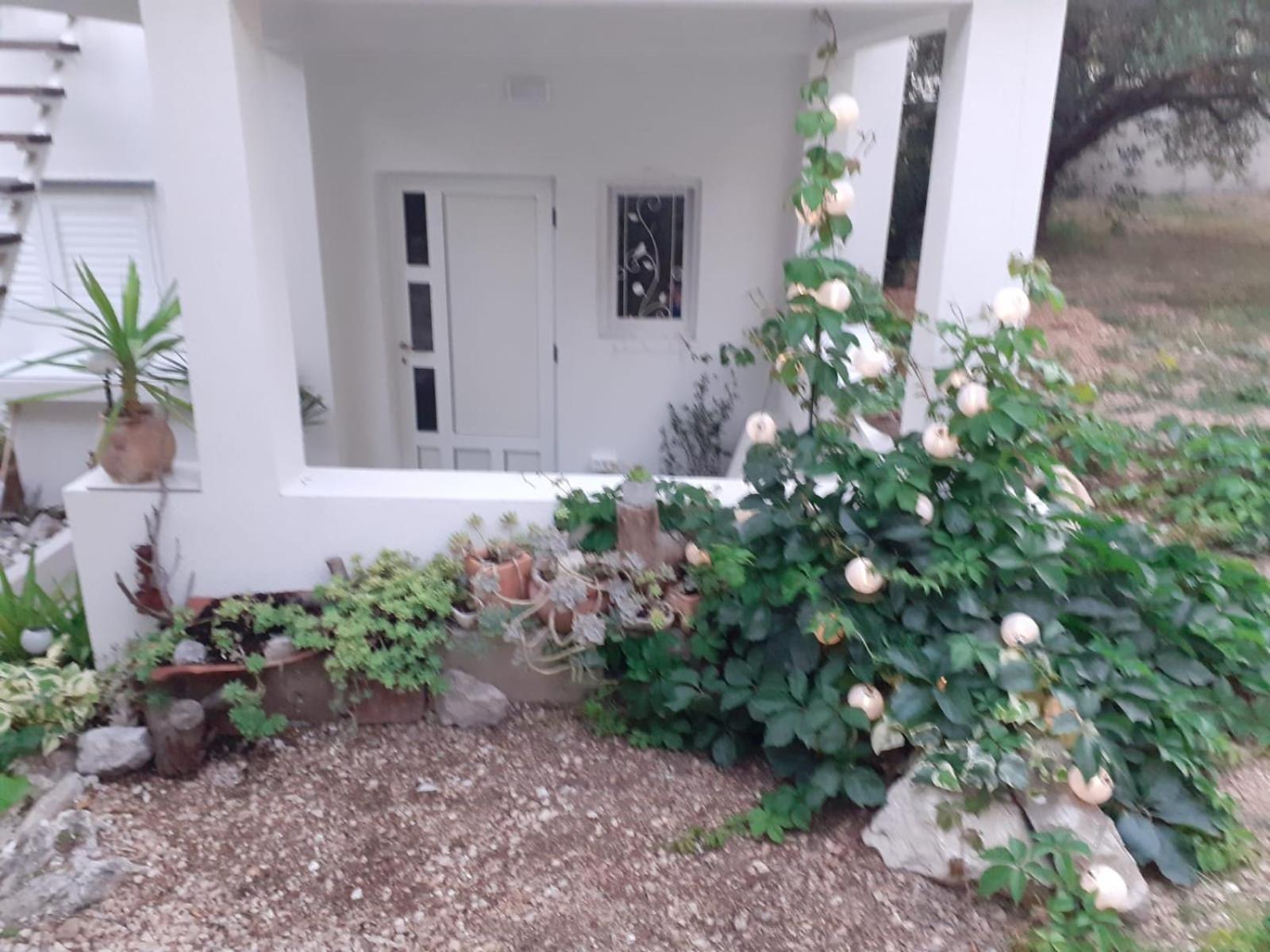 Villa Ana Makarska Ruang foto